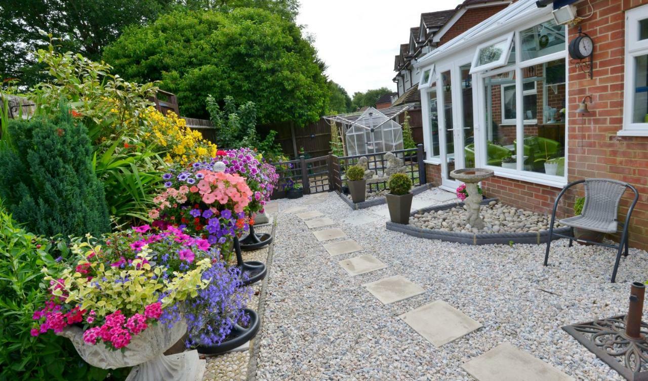 Rosedale Bed And Breakfast Lyndhurst Exterior photo